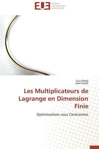 bokomslag Les Multiplicateurs de Lagrange En Dimension Finie