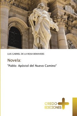 bokomslag Novela