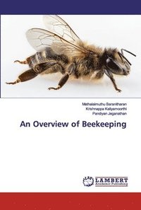 bokomslag An Overview of Beekeeping