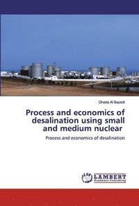 bokomslag Process and economics of desalination using small and medium nuclear