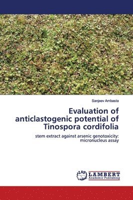 bokomslag Evaluation of anticlastogenic potential of Tinospora cordifolia
