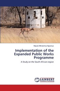bokomslag Implementation of the Expanded Public Works Programme