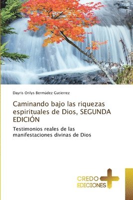 bokomslag Caminando bajo las riquezas espirituales de Dios, SEGUNDA EDICIN