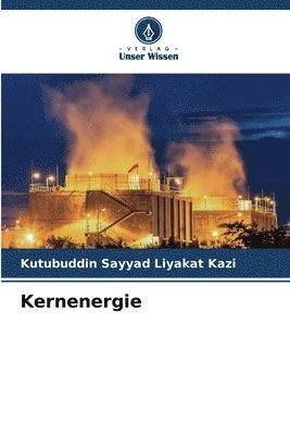 Kutubuddin Sayyad Liyakat Kazi - Kernenergie, Häftad