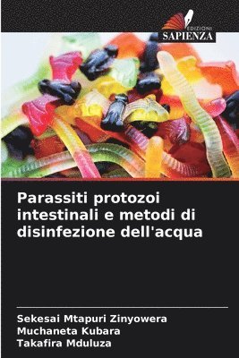 Sekesai Mtapuri Zinyowera, Muchaneta Kubara, Takafira Mduluza - Parassiti protozoi intestinali e metodi di disinfezione dell'acqua, Häftad