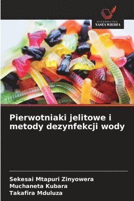 Sekesai Mtapuri Zinyowera, Muchaneta Kubara, Takafira Mduluza - Pierwotniaki jelitowe i metody dezynfekcji wody, Häftad