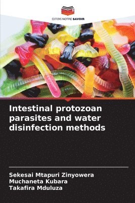 Sekesai Mtapuri Zinyowera, Muchaneta Kubara, Takafira Mduluza - Intestinal protozoan parasites and water disinfection methods, Häftad