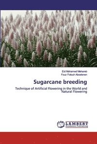 bokomslag Sugarcane breeding
