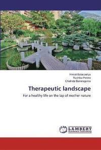bokomslag Therapeutic landscape