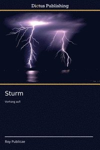 bokomslag Sturm