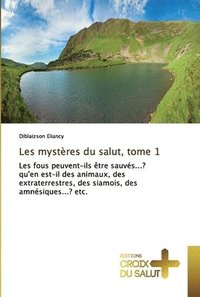 bokomslag Les mystres du salut, tome 1