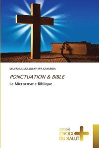bokomslag Ponctuation & Bible