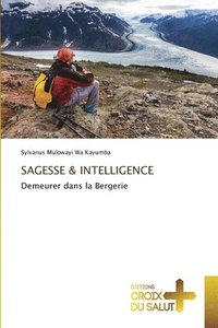 bokomslag Sagesse & Intelligence