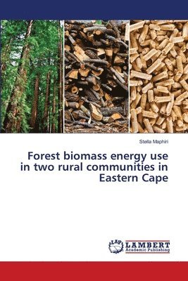 bokomslag Forest biomass energy use in two rural communities in Eastern Cape