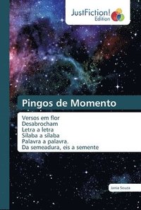 bokomslag Pingos de Momento