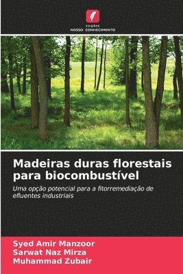 Syed Amir Manzoor, Sarwat Naz Mirza, Muhammad Zubair - Madeiras duras florestais para biocombustível, Häftad
