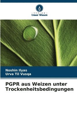 Noshin Ilyas, Urva Til Vusqa - PGPR aus Weizen unter Trockenheitsbedingungen, Häftad