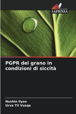 Noshin Ilyas, Urva Til Vusqa - PGPR del grano in condizioni di siccità, Häftad