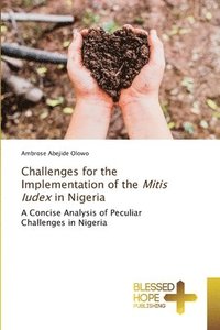 bokomslag Challenges for the Implementation of the Mitis Iudex in Nigeria