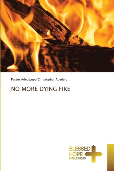 bokomslag No More Dying Fire