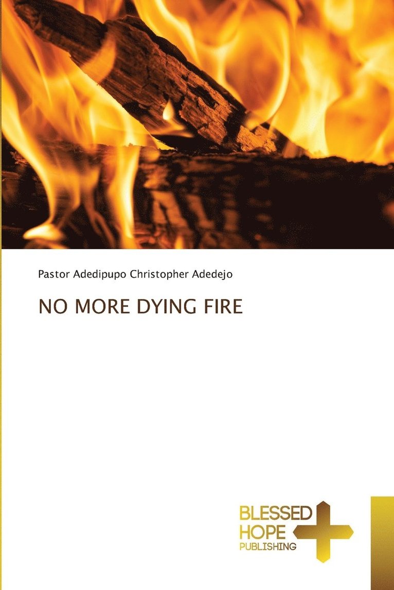 No More Dying Fire 1