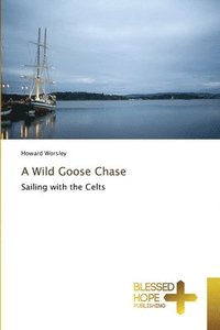 bokomslag A Wild Goose Chase