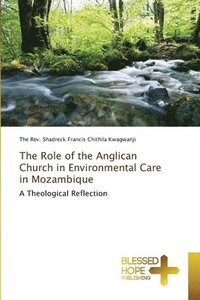 bokomslag The Role of the Anglican Church in Environmental Care in Mozambique