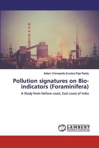 bokomslag Pollution signatures on Bio-indicators (Foraminifera)