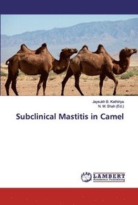 bokomslag Subclinical Mastitis in Camel