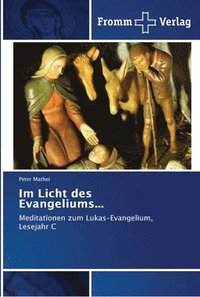bokomslag Im Licht des Evangeliums...