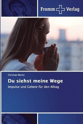 bokomslag Du siehst meine Wege