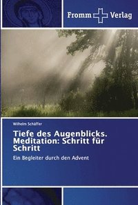 bokomslag Tiefe des Augenblicks. Meditation