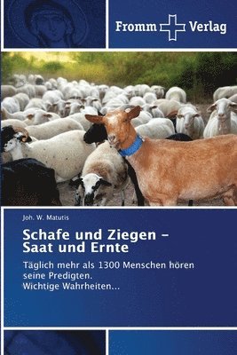 Schafe und Ziegen - Saat und Ernte 1