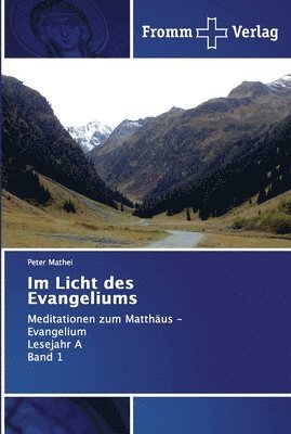bokomslag Im Licht des Evangeliums