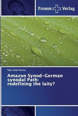 Amazon Synod-German synodal Path 1