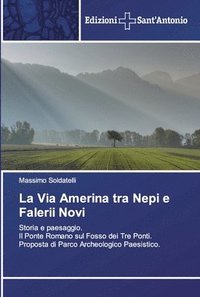 bokomslag La Via Amerina tra Nepi e Falerii Novi