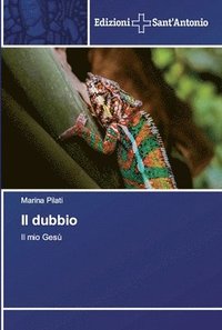 bokomslag Il dubbio