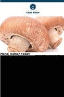 Vergleichende Studien zu Stämmen des Champignons (A. bisporus)