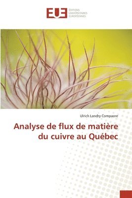 bokomslag Analyse de flux de matire du cuivre au Qubec