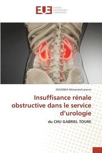 bokomslag Insuffisance rénale obstructive dans le service d'urologie