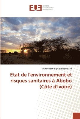 Etat de l'environnement et risques sanitaires  Abobo (Cte d'Ivoire) 1