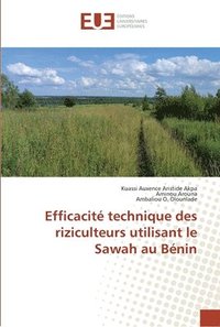 bokomslag Efficacit technique des riziculteurs utilisant le Sawah au Bnin