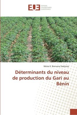 bokomslag Dterminants du niveau de production du Gari au Bnin