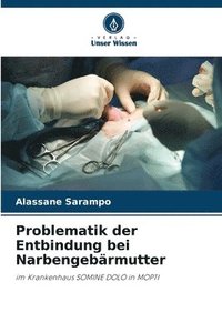 bokomslag Problematik der Entbindung bei Narbengebärmutter