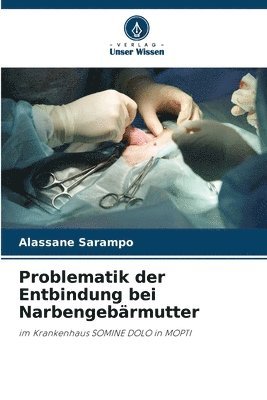 bokomslag Problematik der Entbindung bei Narbengebärmutter