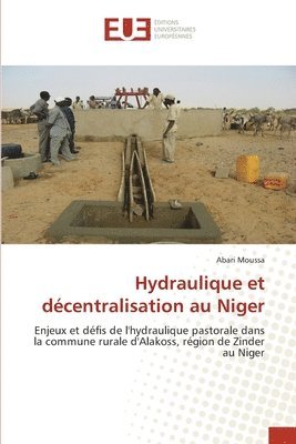 Hydraulique et dcentralisation au Niger 1
