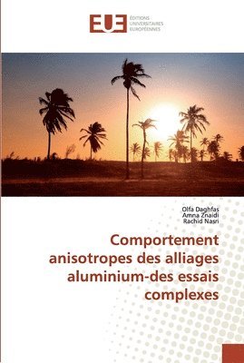 bokomslag Comportement anisotropes des alliages aluminium-des essais complexes
