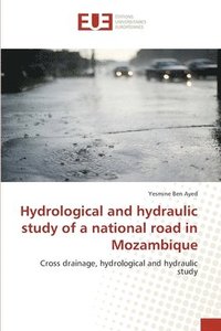 bokomslag Hydrological and hydraulic study of a national road in Mozambique