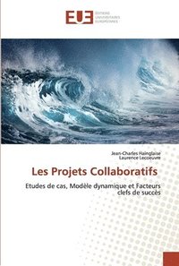 bokomslag Les Projets Collaboratifs