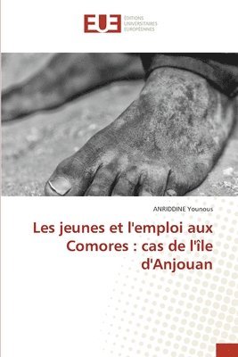 bokomslag Les jeunes et l'emploi aux Comores: cas de l'île d'Anjouan